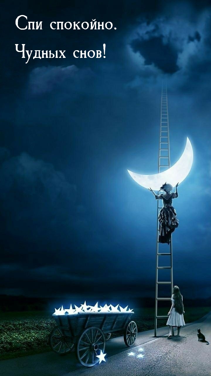 Спи спокойно. Чудных снов!