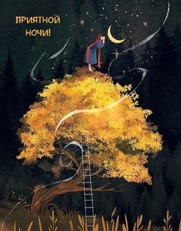 Приятной ночи!