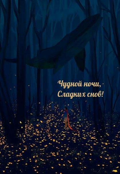 Чудной ночи, Сладких снов!