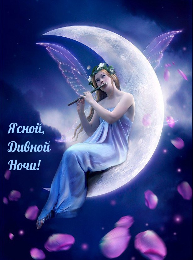 Ясной, Дивной Ночи!