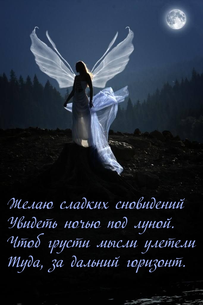 Желаю сладких сновидений увидеть ночью под луной.