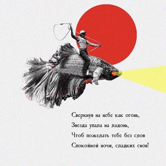 Спокойной ночи, сладких снов! Звезда упала на ладонь