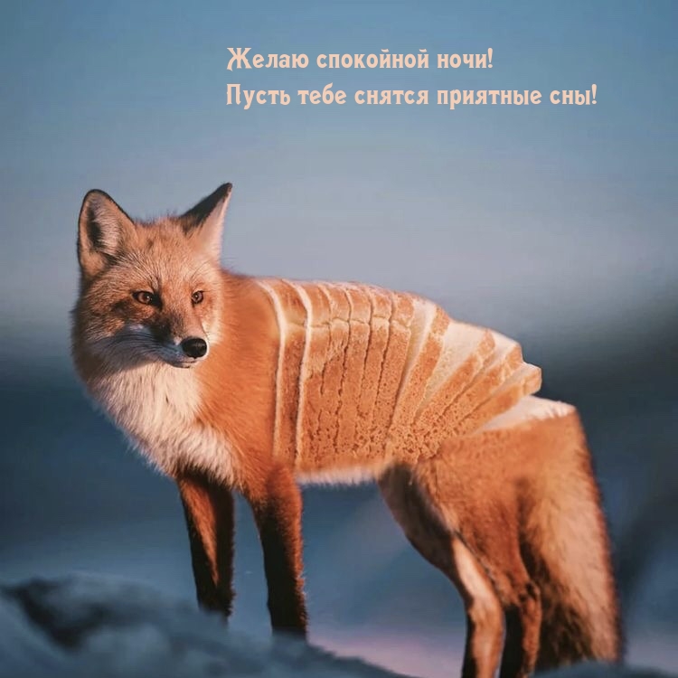Желаю спокойной ночи! Пусть тебе снятся приятные сны!