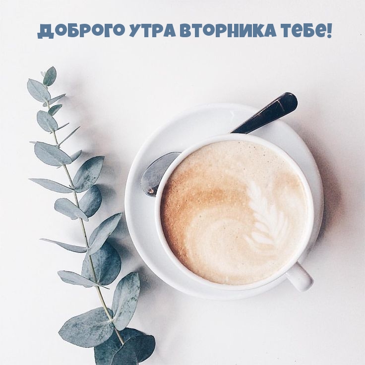 Доброго утра вторника тебе!