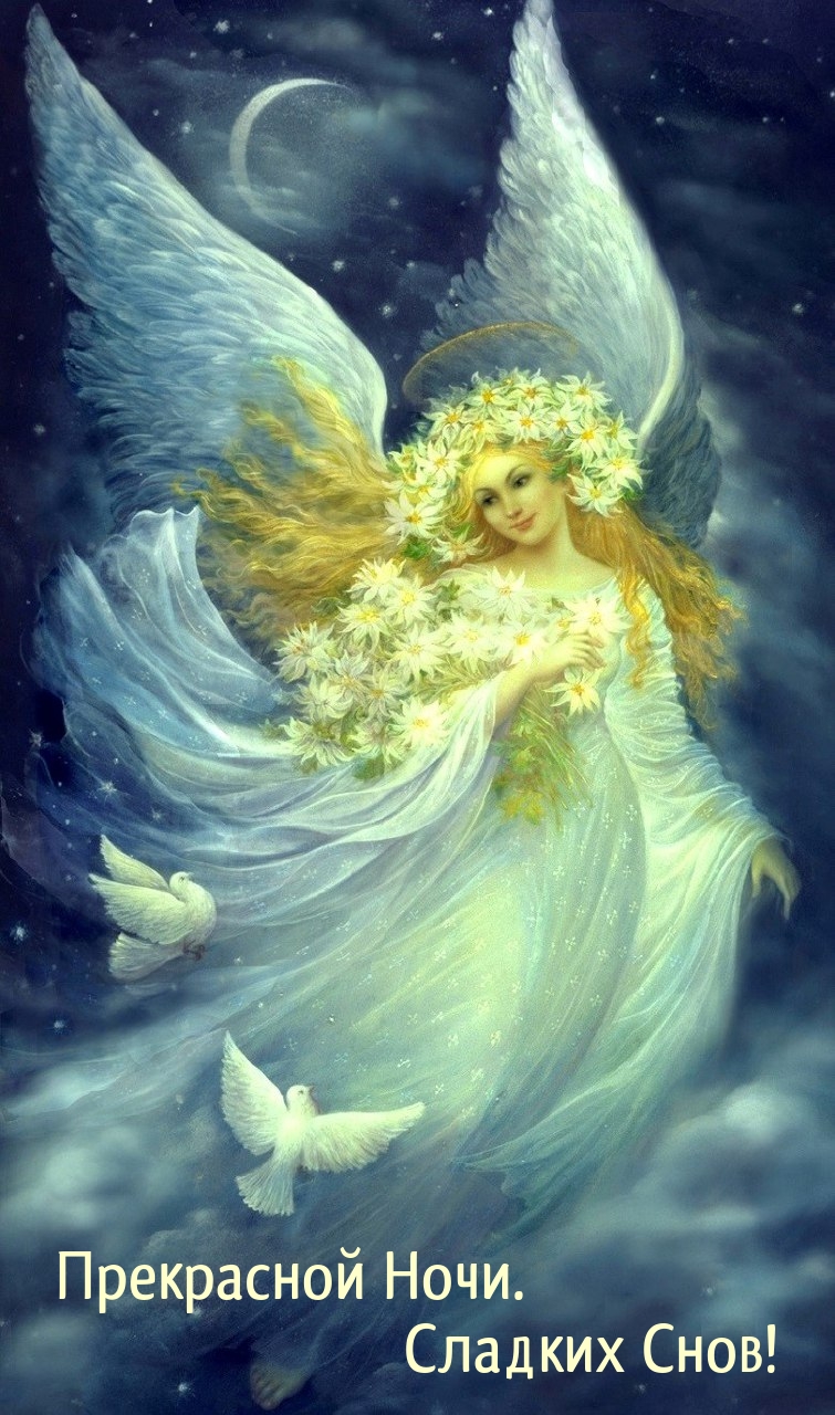 Прекрасной Ночи. Сладких Снов!