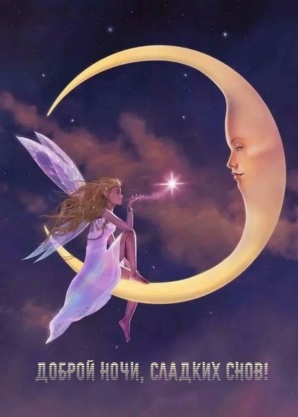 Доброй ночи, сладких снов!