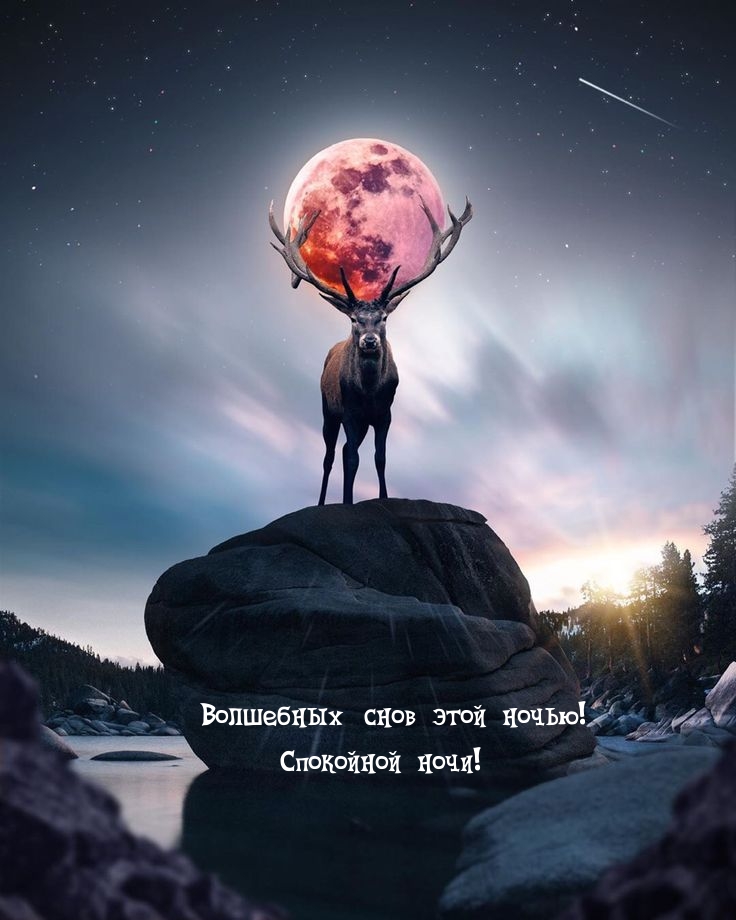 Волшебных снов этой ночью! Спокойной ночи!