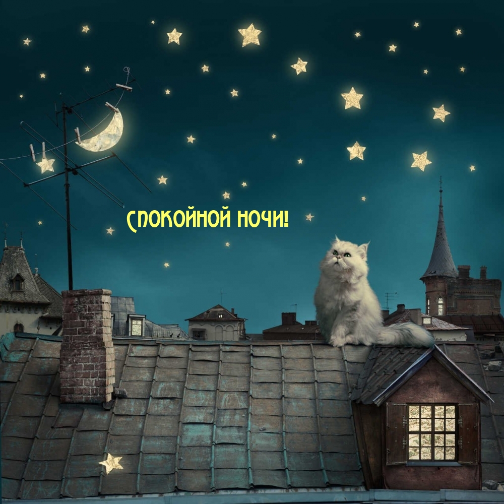 Спокойной ночи!