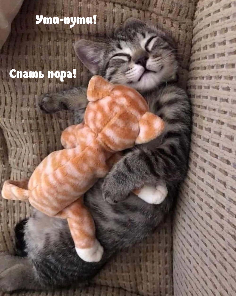 Ути-пути! Спать пора!