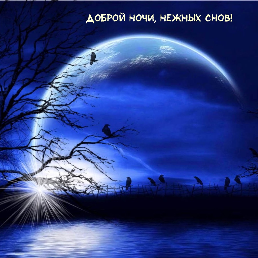 Доброй ночи, нежных снов!