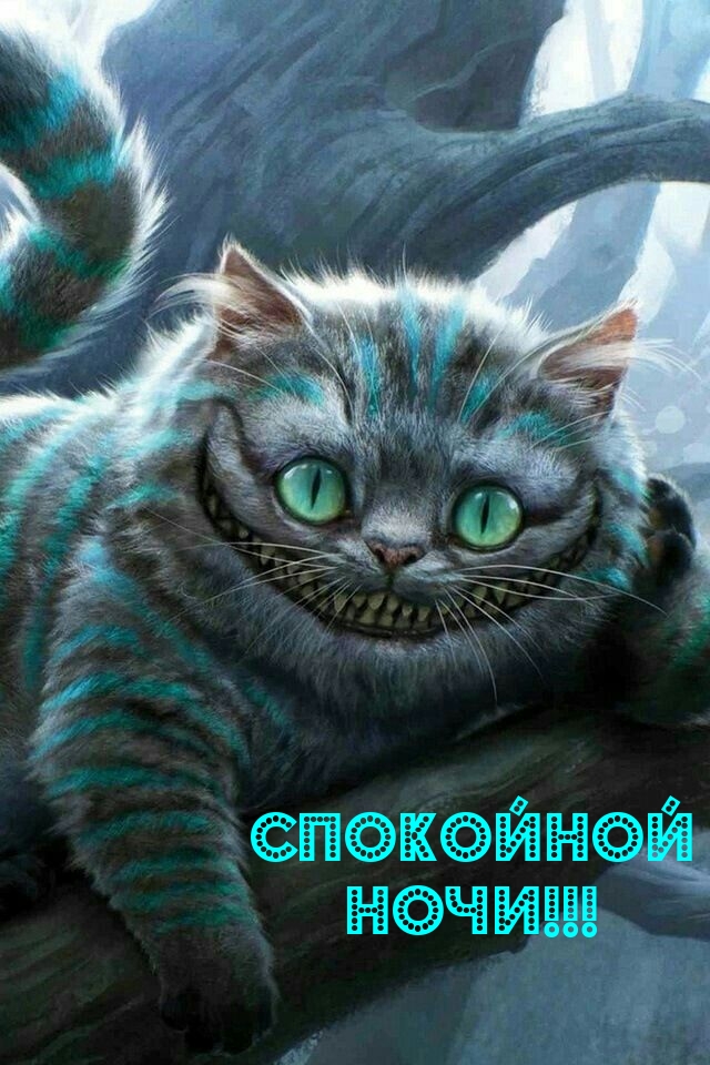Спокойной ночи!