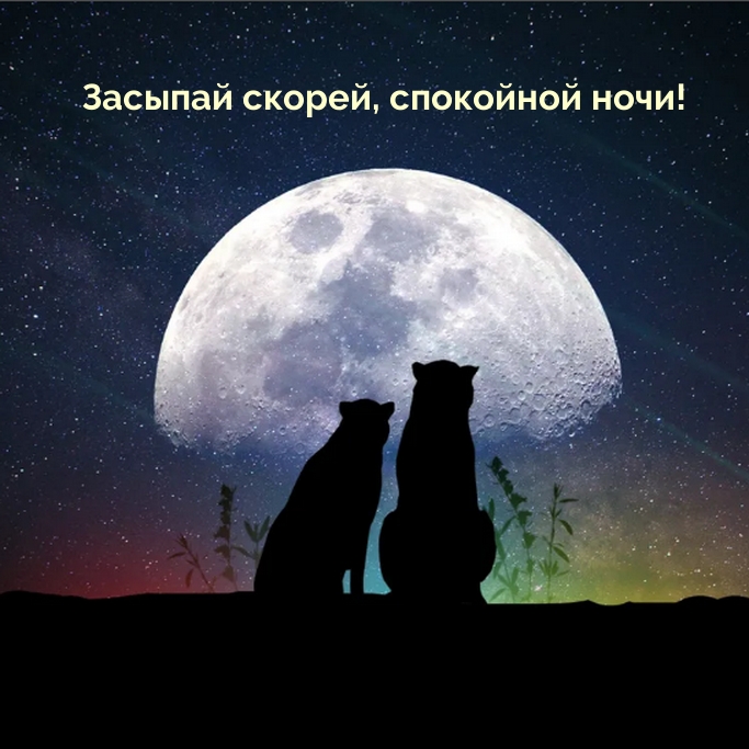 Засыпай скорей, спокойной ночи!