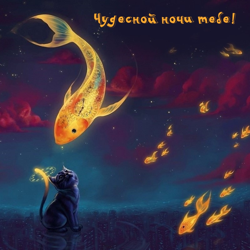 Чудесной ночи тебе!