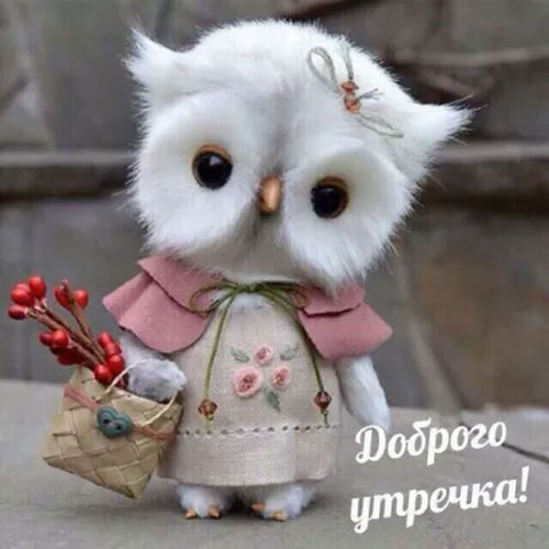 Доброго утречка!