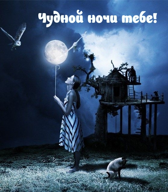 Чудной ночи тебе!