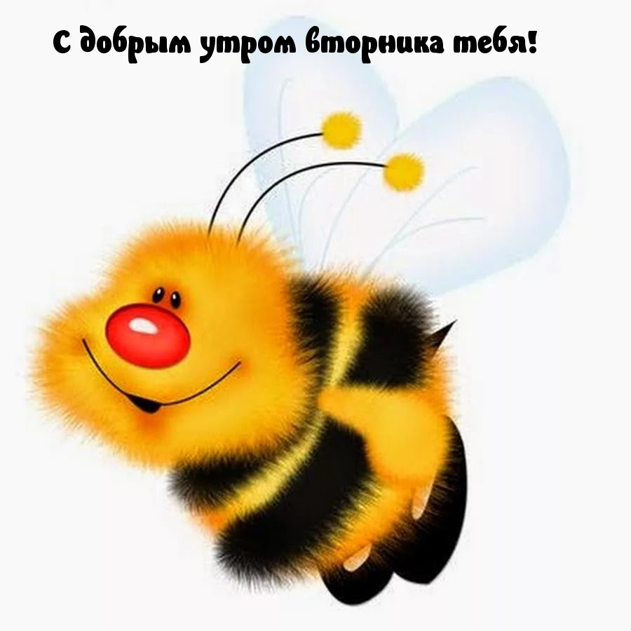 С добрым утром вторника тебя!