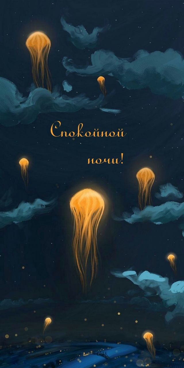 Спокойной ночи!