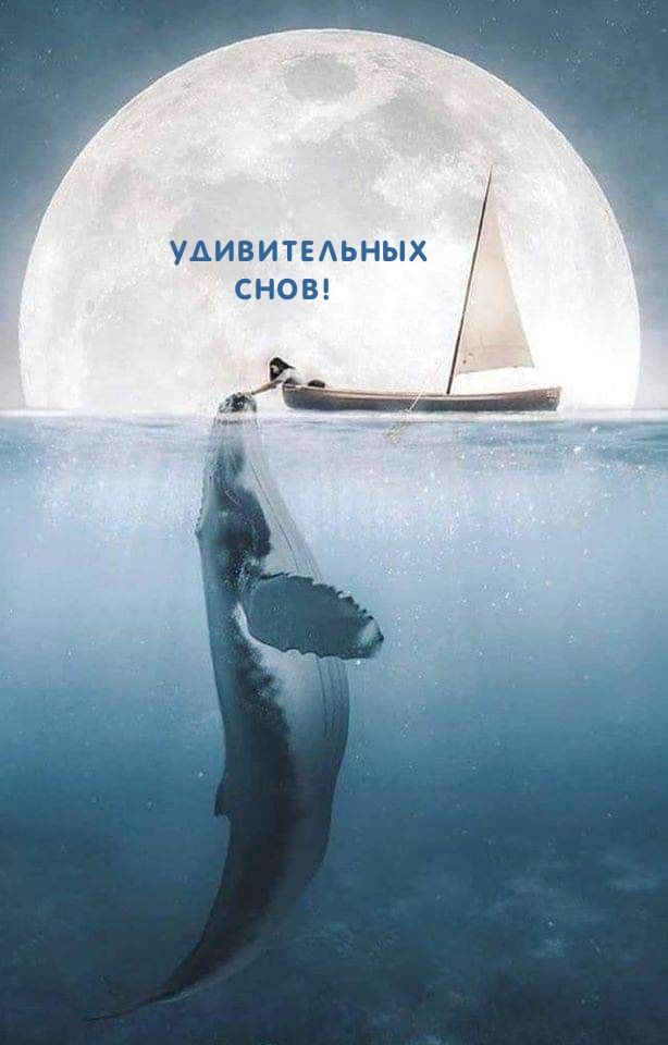 Удивительных Снов!