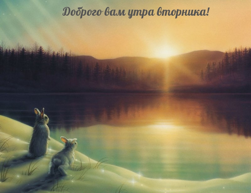 Доброго вам утра вторника!