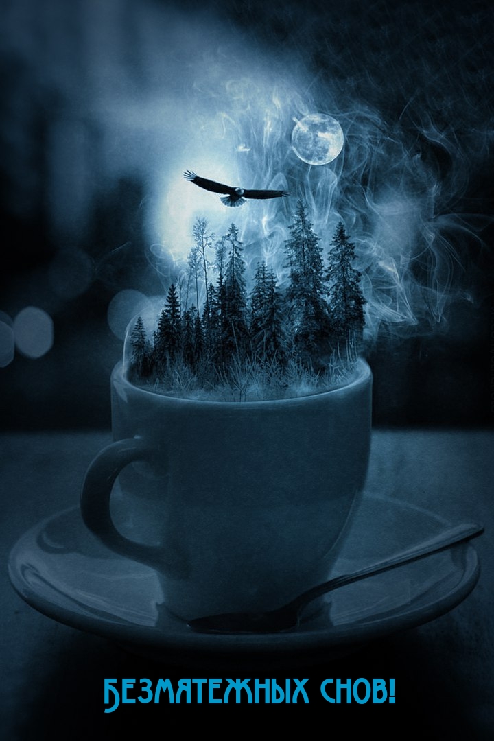 Безмятежных снов!