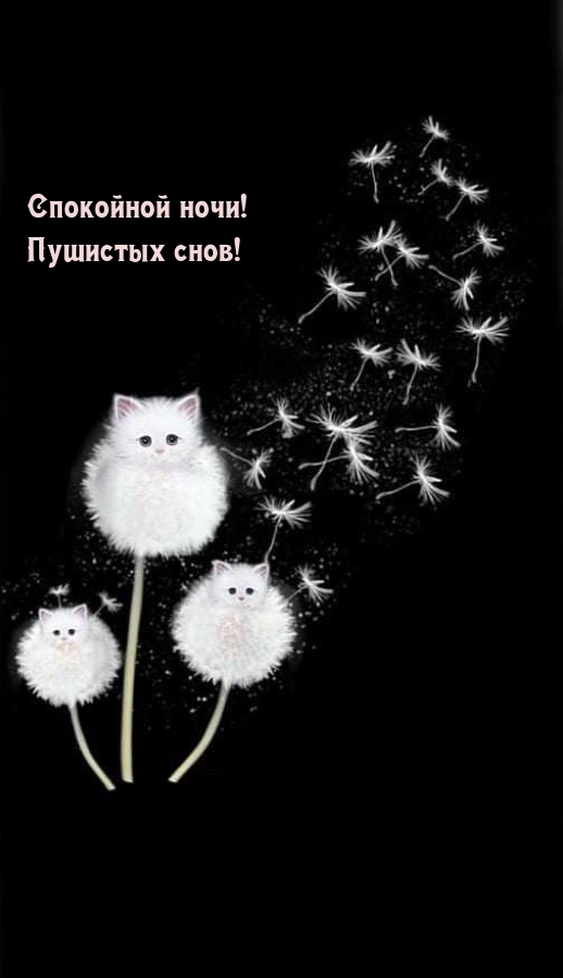 Спокойной ночи! Пушистых снов!