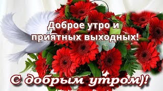 Доброе утро и приятных выходных!
