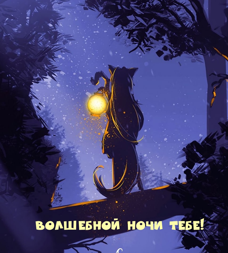 Волшебной ночи тебе!
