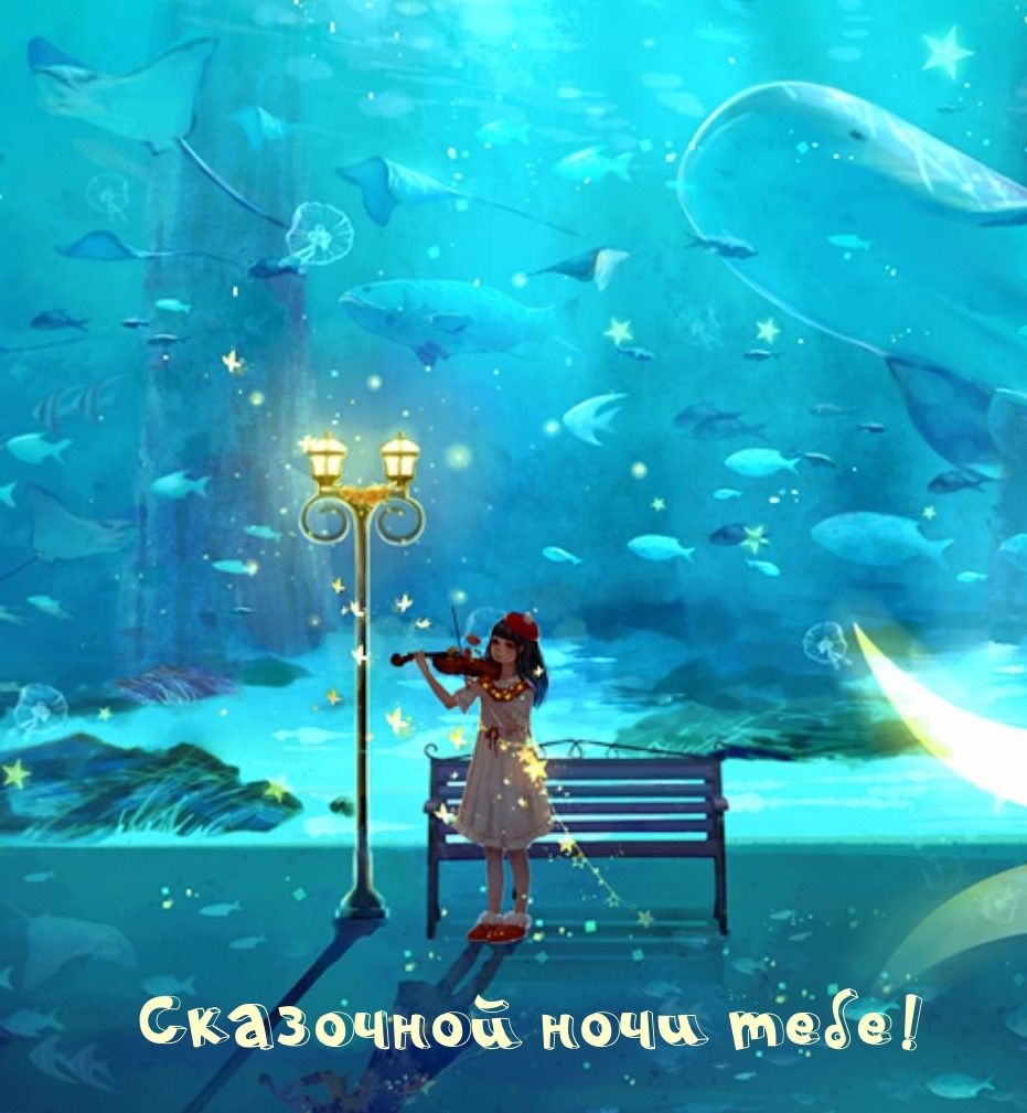 Сказочной ночи тебе!