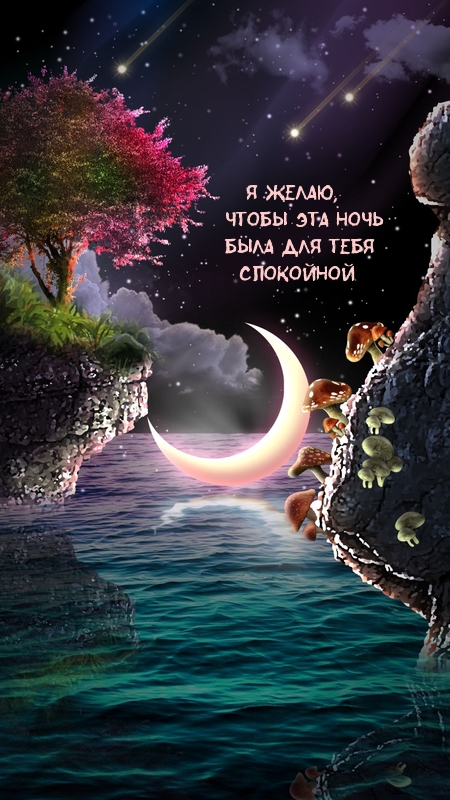 Я желаю, чтобы эта ночь была для тебя спокойной