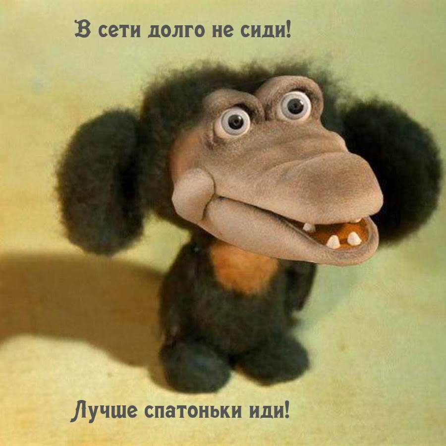 В сети долго не сиди! Лучше спатоньки иди!