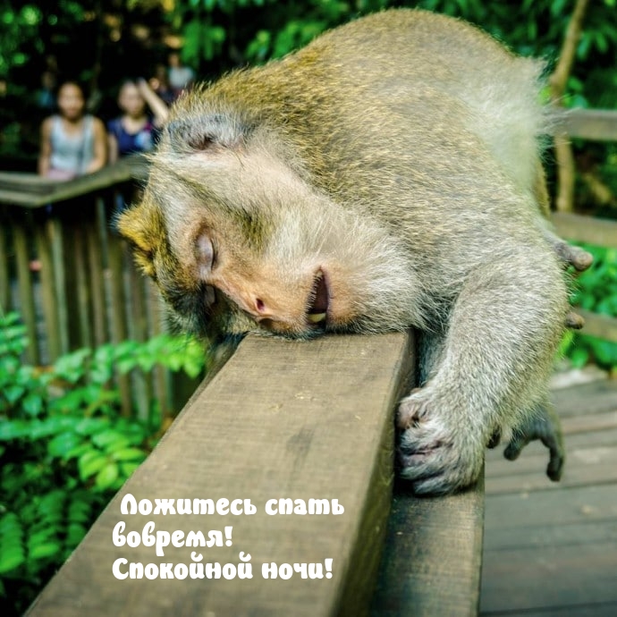 Ложитесь спать вовремя! Спокойной ночи!
