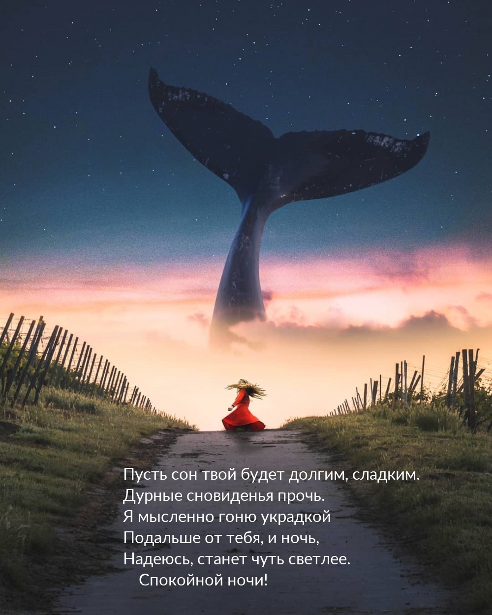 Пусть сон твой будет долгим, сладким. Спокойной ночи!