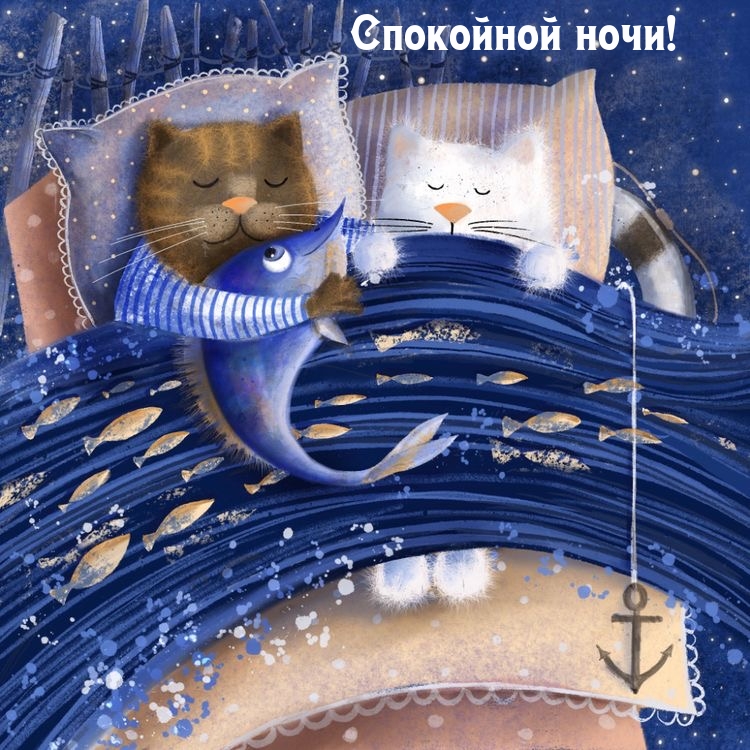 Спокойной ночи!