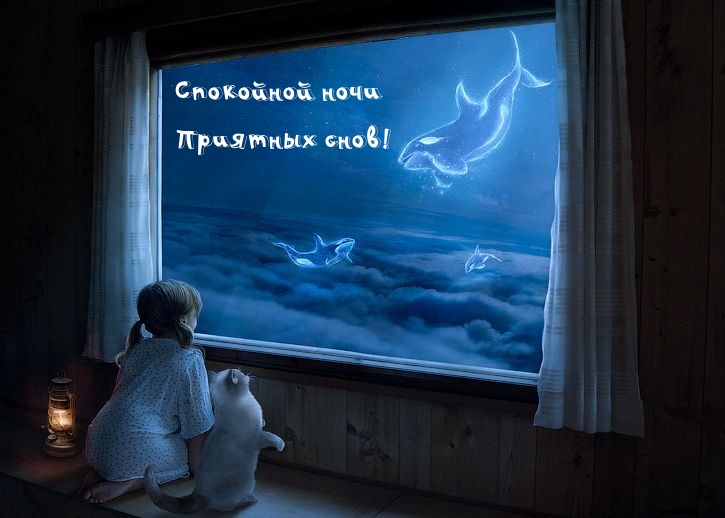 Спокойной ночи Приятных снов!