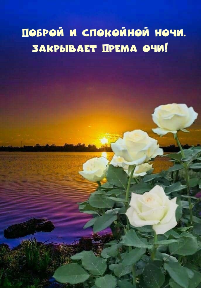 Доброй и спокойной ночи, Закрывает дрема очи!