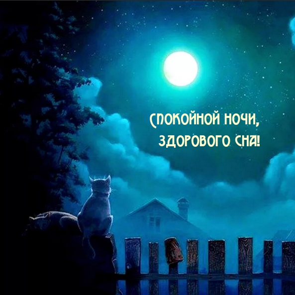 Спокойной ночи, здорового сна!