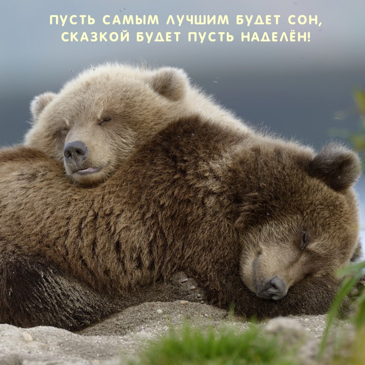 Пусть самым лучшим будет сон, Сказкой будет пусть наделён!