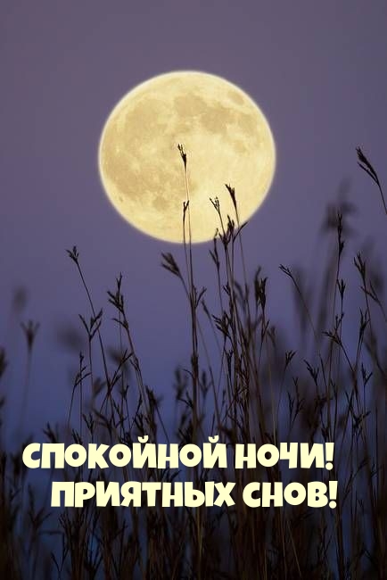 Спокойной ночи! Приятных снов!