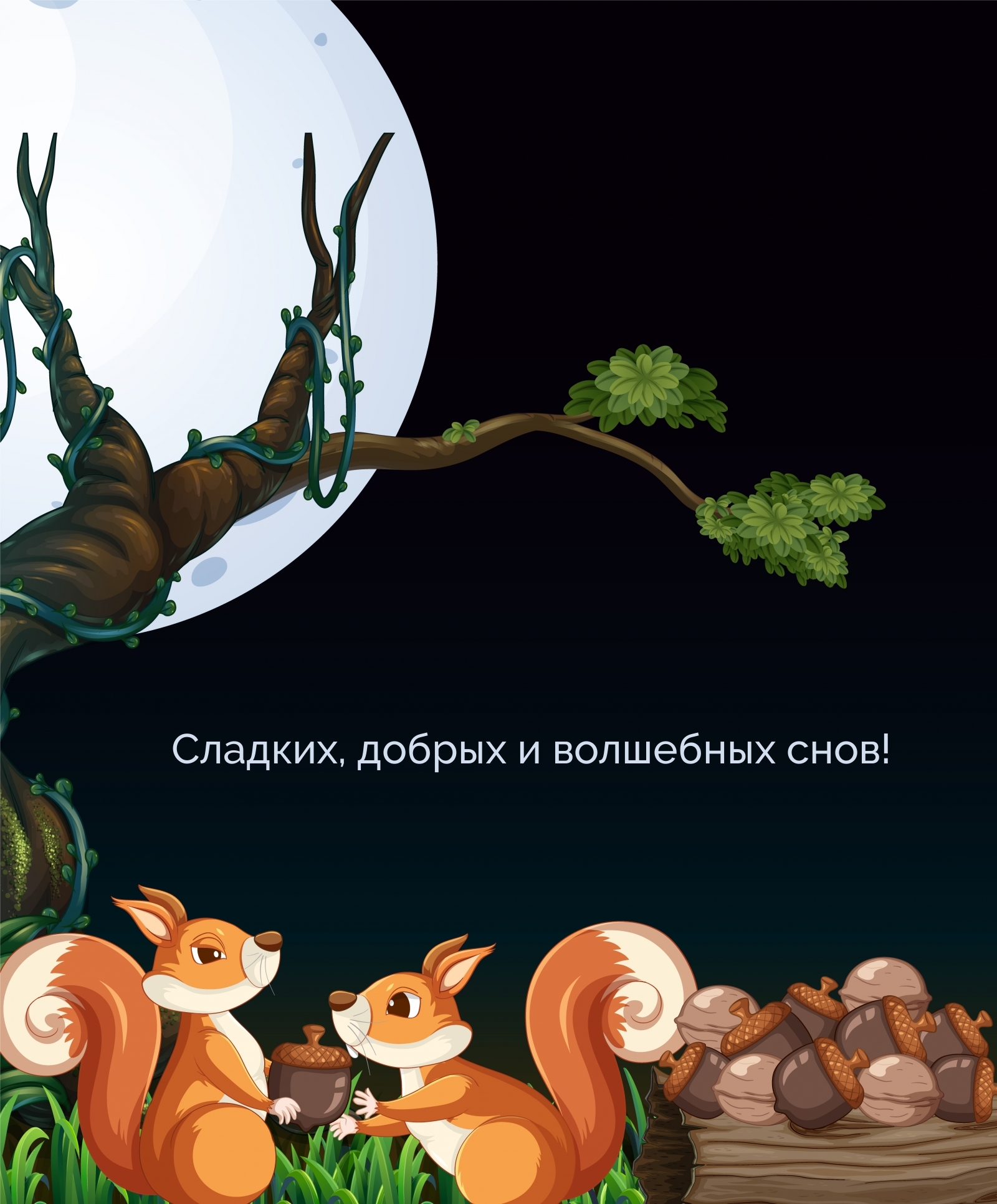 Сладких, добрых и волшебных снов!