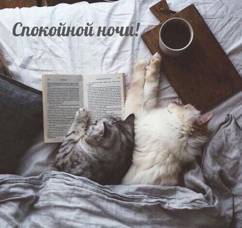 Спокойной ночи!