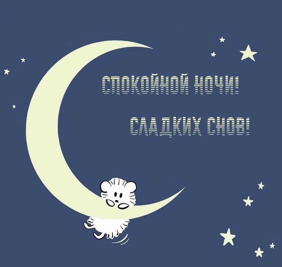 Спокойной ночи! Сладких снов!