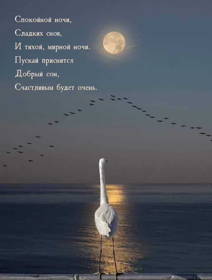 Спокойной ночи, Сладких снов, И тихой, мирной ночи.