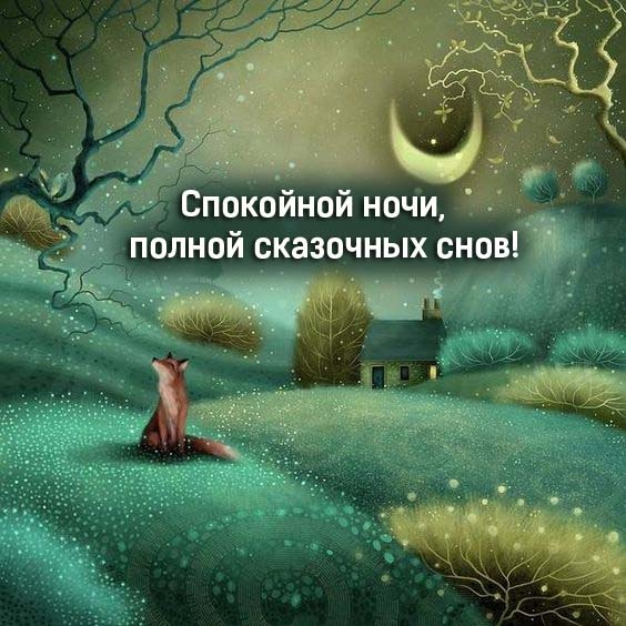 Спокойной ночи, полной сказочных снов!