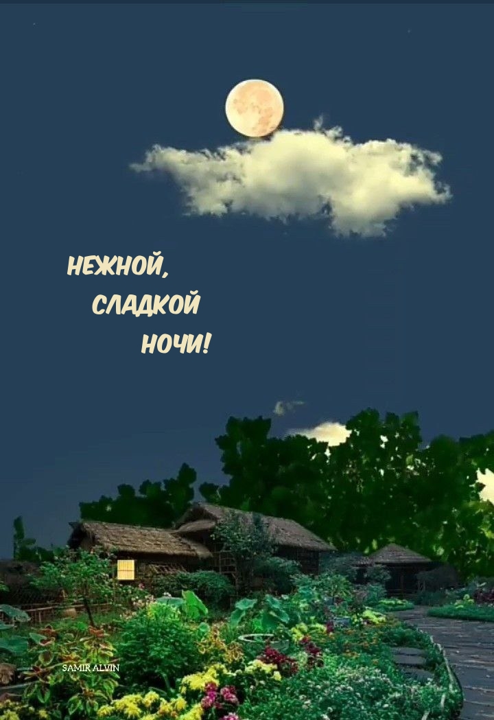 Нежной, Сладкой Ночи!