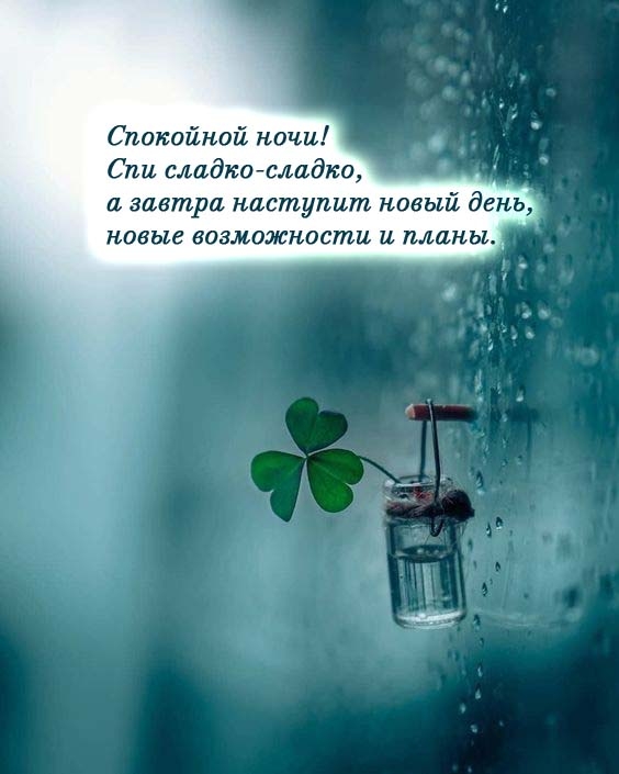 Спокойной ночи! Спи сладко-сладко