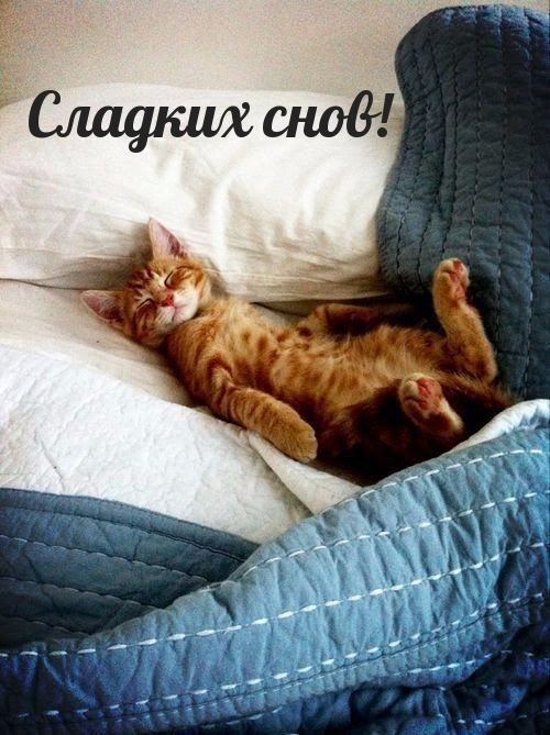 Сладких снов!