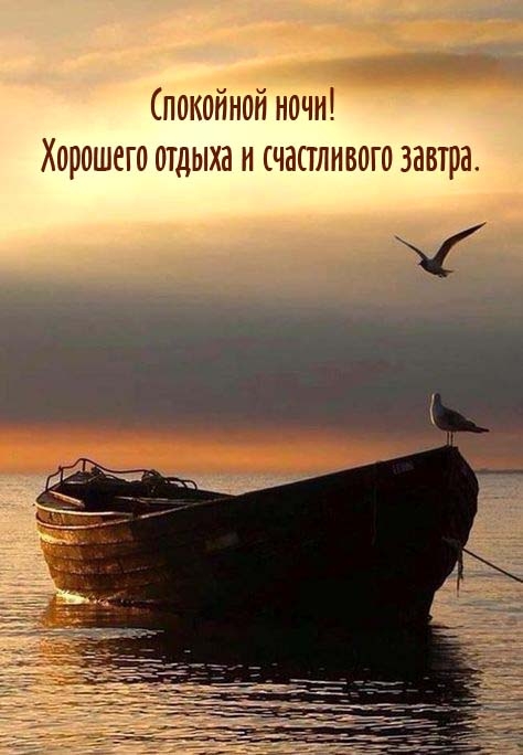 Спокойной ночи! Хорошего отдыха и счастливого завтра.