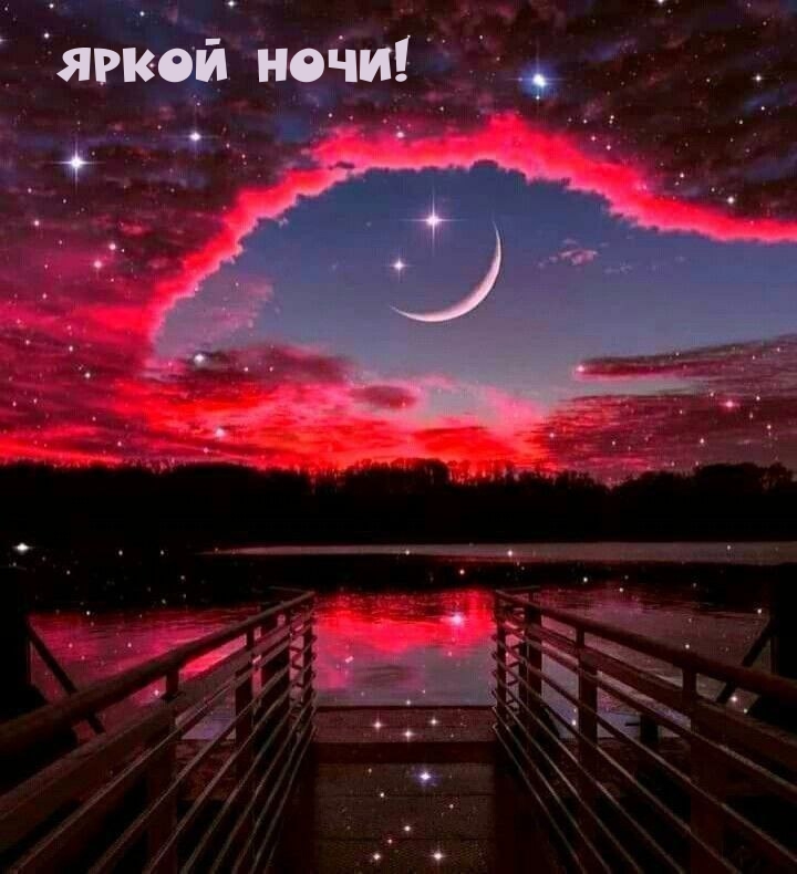 Яркой ночи!