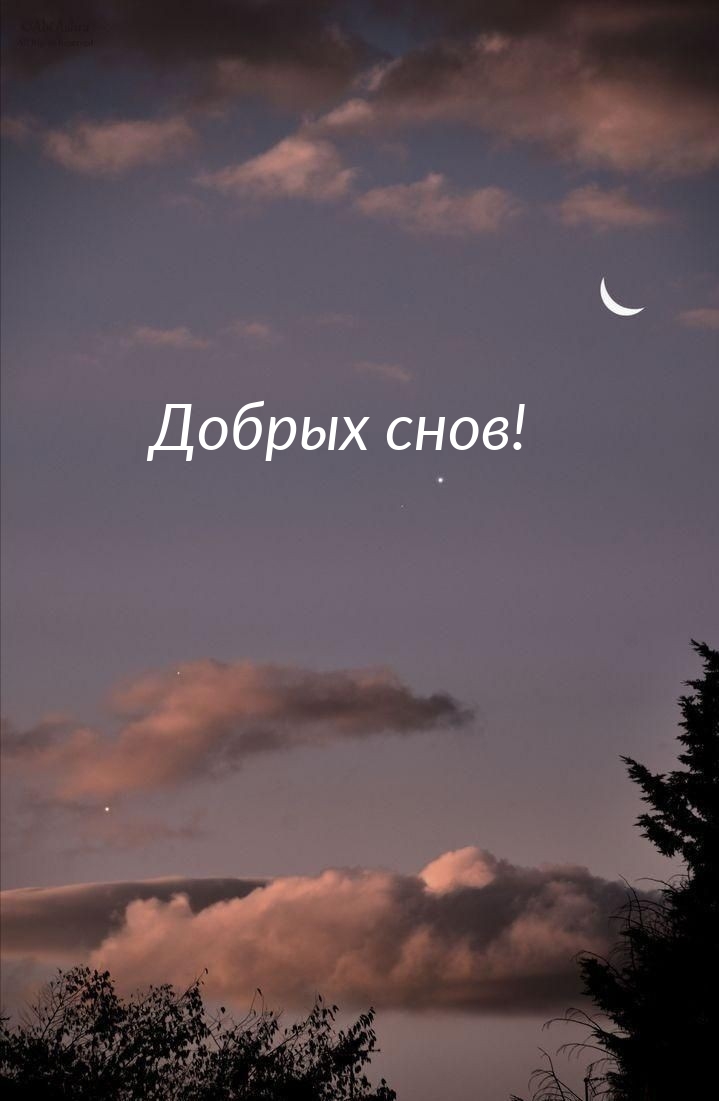 Добрых снов!