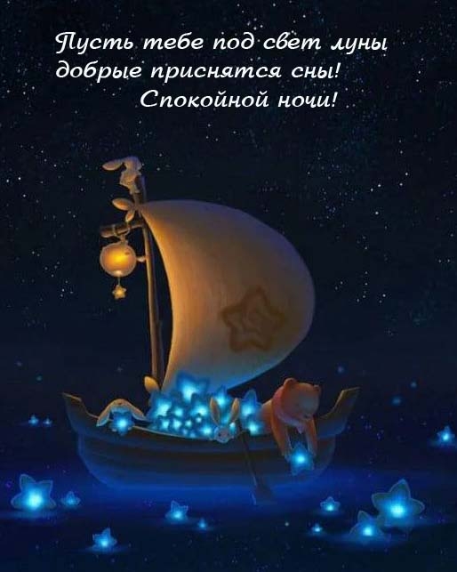 Пусть тебе под свет луны добрые приснятся сны! Спокойной ночи!